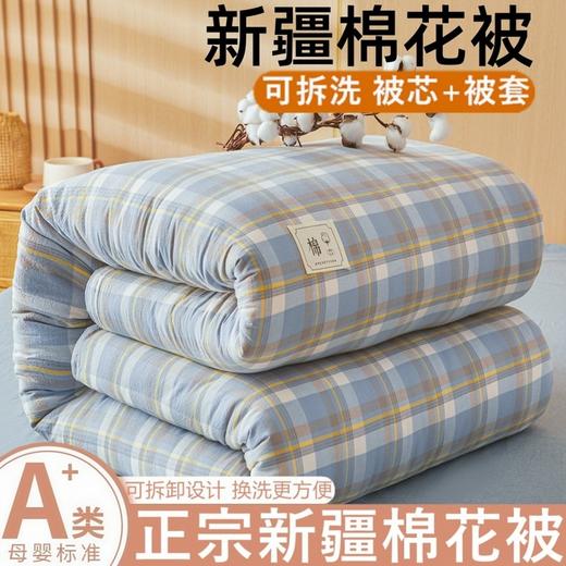 【可拆卸新疆全棉花被子】冬被厚春秋被单双人垫被褥子学生宿舍可机洗 商品图0