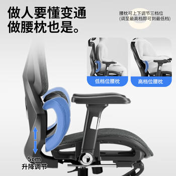 云祈人体工学椅电脑椅电竞椅办公椅人工力学座椅舒适久坐学习椅子 /家具 /椅类 /电脑椅 商品图6