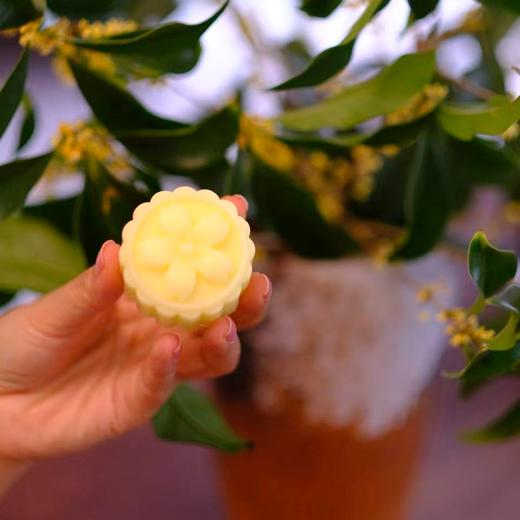 预售3-5天！【芳疗产品-秋天的味道桂花香】萧何芳疗师联名・秋日暖愈桂花芳疗礼盒・桂花植萃芳疗生活美学套装 商品图13