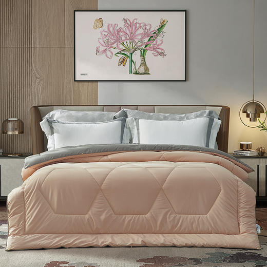 【自提】富安娜卓尔新西兰羊毛春秋被标准米白【A31】 商品图7