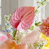 《惊鸿》奶油桃子粉掌奶油杯缤纷色抱抱桶 商品缩略图2