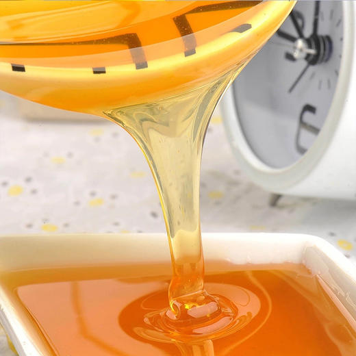 天山花开·新疆黑蜂山花蜂蜜500g 花香蔓延 甜而不腻 挤压式包装  商品图2