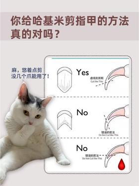 哈基米剪指甲科普！附“杀手锏”