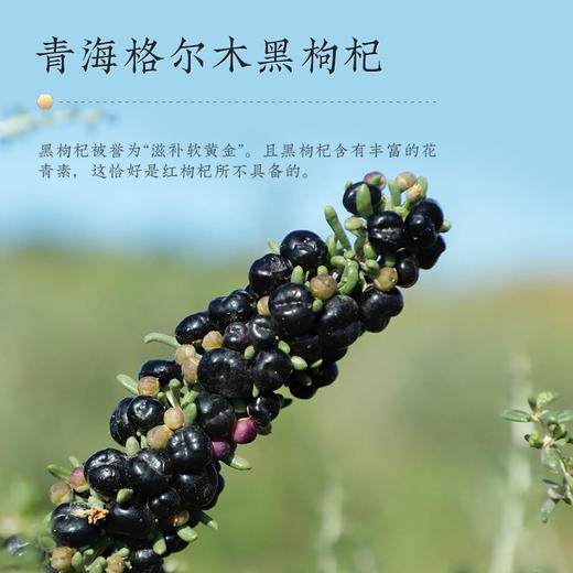 胡庆余堂红黑枸杞礼盒装260g 商品图3