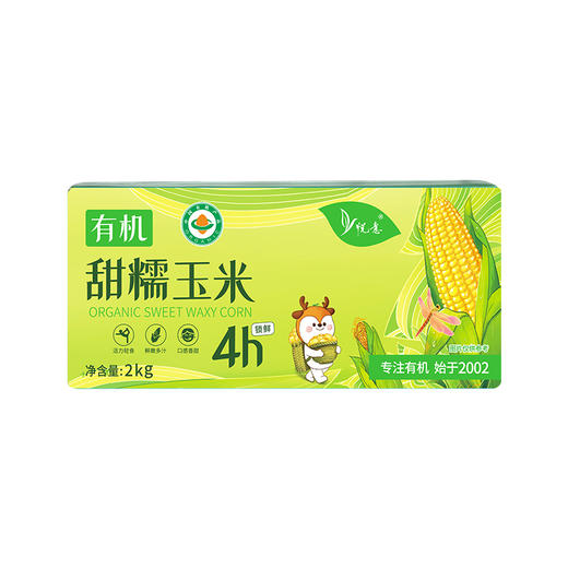 有机甜糯玉米 | 2kg/箱（8穗） 东北黑土地有机种植 粗粮主食轻食 商品图6