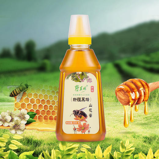 天山花开·新疆黑蜂山花蜂蜜500g 花香蔓延 甜而不腻 挤压式包装  商品图4