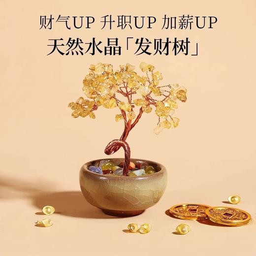 【纳福接运❗️天然水晶“发财树”】简单一摆，福气满满！虎眼石草莓晶蓝水晶红玛瑙绿水晶粉水晶紫水晶黄水晶碎石玛瑙滚石底座聚宝盆家居客厅办公室摆件新年春节马年礼物 商品图0