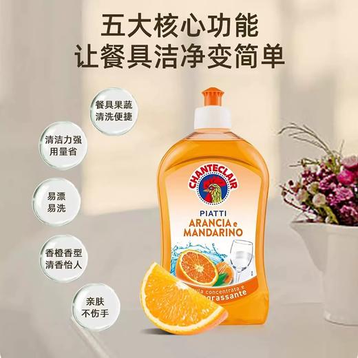 【6F】意大利大公鸡洗洁精家用果蔬餐具洗碗液小瓶食品级（橙香） 商品图0