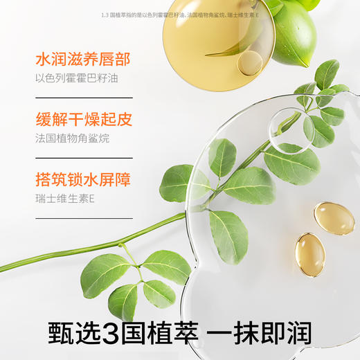 海龟爸爸植萃护唇膏（魔法棒） 商品图2