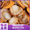 壮元海 速冻栉孔贝肉（冻煮制品） 商品缩略图0