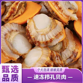 壮元海 速冻栉孔贝肉（冻煮制品）