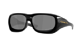 OAKLEY太阳镜PERFORMANCE LIFESTYLE949401