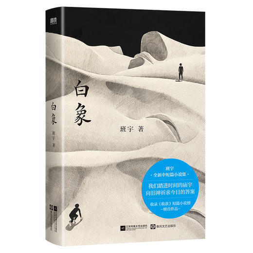 【专享透卡】白象 班宇 全新中短篇小说集 收录飞鸟与地下狐及其友关河令清水心跳余华盛赞作者 散文畅销冬泳逍遥游 磨铁图书正版 商品图1