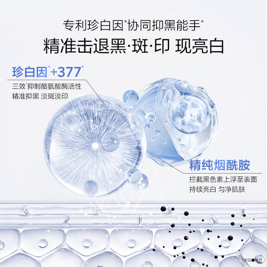 【买1套送1套】全新升级-珍白水乳霜非遗礼盒（100ml水+100ml乳+50g霜）赠：珍白因正装3件套礼盒（100ml水+100ml乳+30ml沁白精华+1.0安心小白管5支装*2） 商品图6