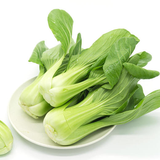 上海青  500g 商品图0