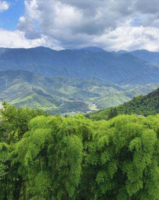 BAM【见山】2 天 1 夜章里古道徒步，夜宿山野水涧 商品图3