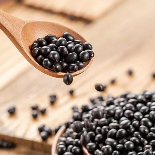 雪莲山·香酥黑豆500g*2  自然原色 颗粒匀称 减脂期零食首选 商品图2