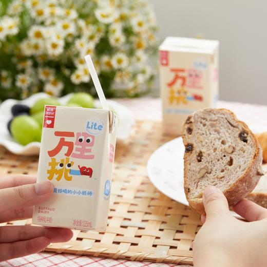 乐纯万里挑一lite小奶砖|珍稀奶源，自然清甜，0乳糖易吸收|纯牛奶 商品图0