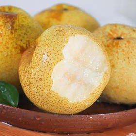 【安徽好物】皇冠梨  4.5斤装