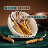【象记】冬虫夏草2根/罐*20罐装-礼盒装（40根）10克/盒 商品缩略图5