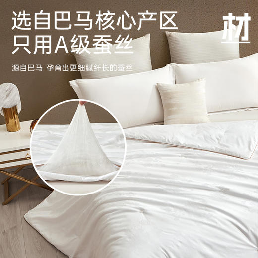 巴马A级双宫茧桑蚕丝被 商品图1