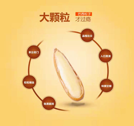 硕果田间·巴西头茬松子，配料只有松子和盐，完全0添加，淡盐简单烘焙，入口细腻醇香 商品图7