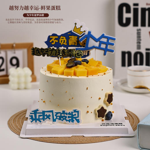 越努力越幸运｜青春元气鲜果蛋糕，为少年逐梦添甜【惠州】 商品图2