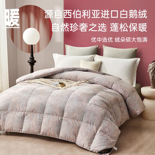 西伯利亚进口立体95白鹅绒被(克洛里) 商品图1