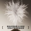 【极地冠军系列】都市丽人女士保暖衣套装加拿大鹅绒保暖LWH1F5 商品缩略图1