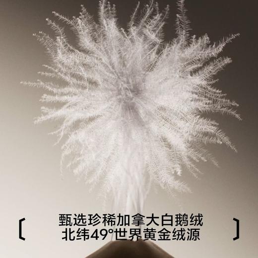 【极地冠军系列】都市丽人女士保暖衣套装加拿大鹅绒保暖LWH1F5 商品图1