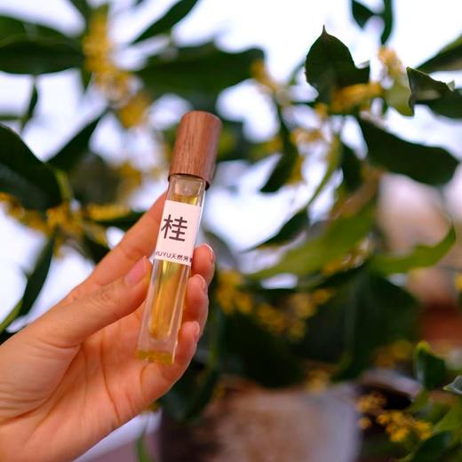 预售3-5天！【芳疗产品-秋天的味道桂花香】萧何芳疗师联名・秋日暖愈桂花芳疗礼盒・桂花植萃芳疗生活美学套装 商品图7