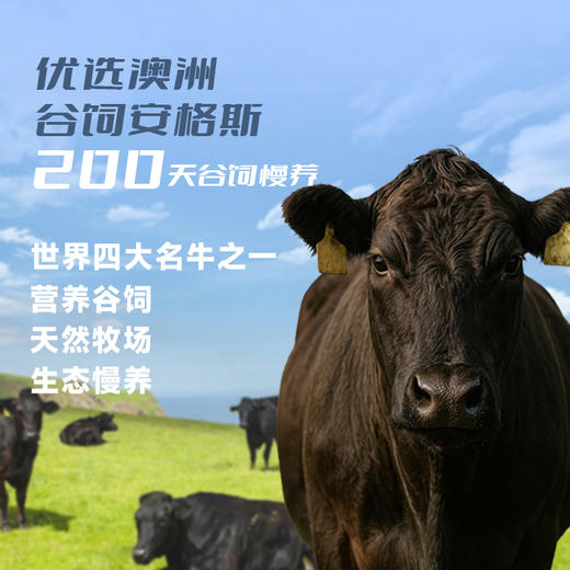 咔叽鹿安格斯牛排脆原味25g风干牛肉牛排脆片 高蛋白配料干净休闲零食 商品图5