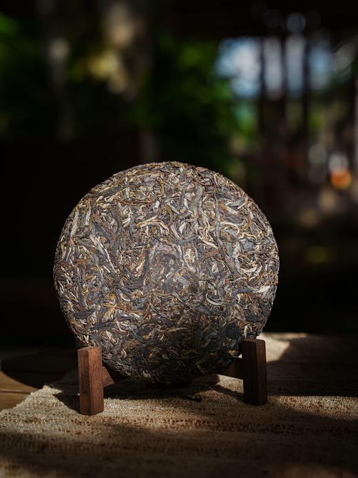 【绿水塘单株】2025年绿水塘单株纯料；家里压箱底好茶；一饮难忘!!!数量十分有限 357g/饼 商品图1