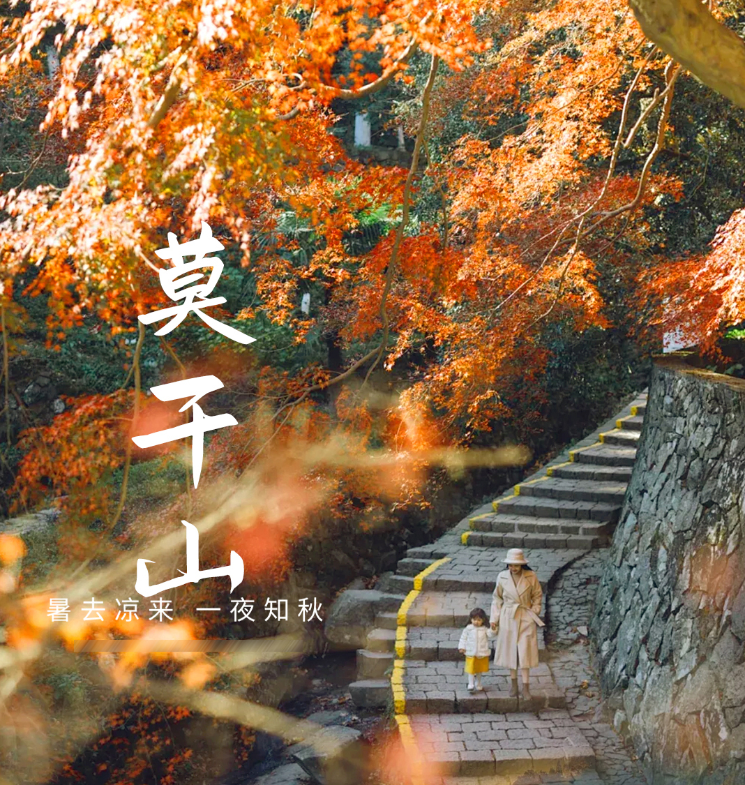 华东6大秋景+蟹宴 5天打卡天平山+莫干山+栖霞山