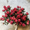 多头玫瑰.绝色果汁 商品缩略图1