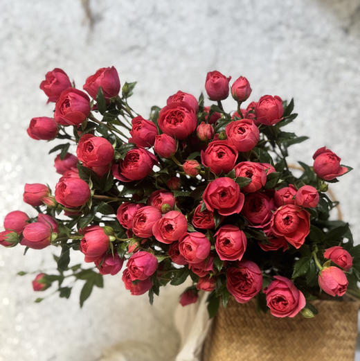 多头玫瑰.绝色果汁 商品图1