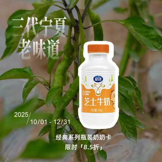 夏进芝士牛奶243ml×15瓶 商品图0