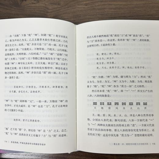 东道西理:中国先秦哲学与希腊哲学通讲 商品图5