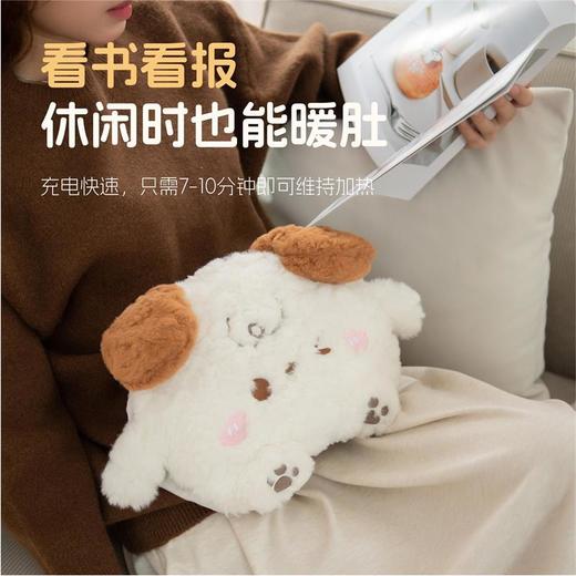 秋冬【国标电热水袋】充电双插手暖手宝 卡通毛绒可拆暖肚子可爱暖手袋  商品图1