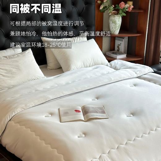【饱满蓬松 深睡秘诀 平衡控温】京帝 星球深睡控温被 商品图8