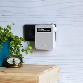 德国 BLAUPUNKT/蓝宝 PDB100 无线电插座数字收音机