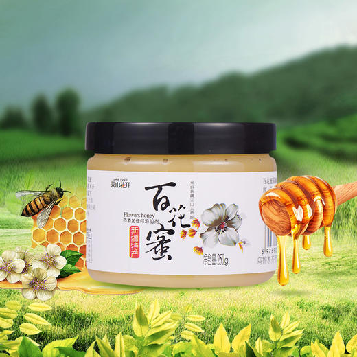 天山花开·新疆百花蜂蜜250g*2  严选伊犁蜜源 两瓶实惠装 商品图2