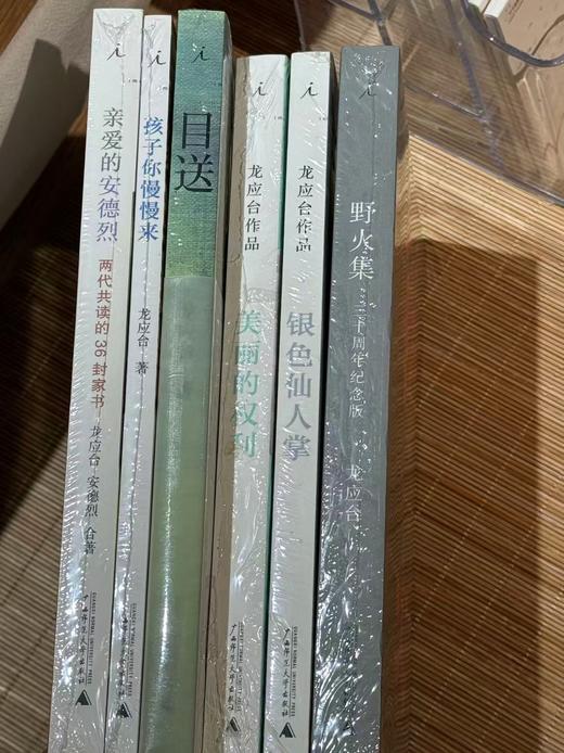 【JUE版】6种 银色仙人掌 美丽的权利 野火集 目送 亲爱的安德烈 孩子你慢慢来 商品图1