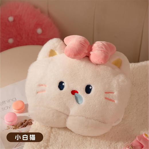 秋冬【黄油小熊暖手宝】毛绒国标电热水袋 充电手捂双插手暖手袋可爱暖宝宝 商品图5