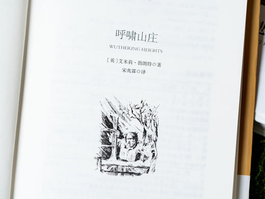 《世界十大名著》经典必读系列（精装10册）|汇集外国文学史上里程碑之作|文豪巨著，名家名译|部部引领孩子世界观和人生方向|为孩子注入受益一生的精神底气 商品图3