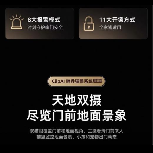 【春上新】10楼 凯迪仕 智能锁 P11Promax千里眼智能锁   吊牌价3999元    活动价2899元 商品图2