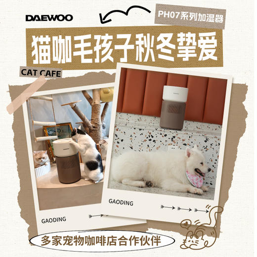 【云优选】大宇无雾加湿器PH07家用婴儿宠物空调供暖气房宝宝狗狗卧室 商品图4