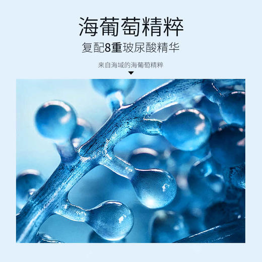 [海葡萄面膜]【49.9任选3件 | 79.9任选5件 | 专区满3件送唇釉】透蜜海葡萄凝水保湿面膜B 25g*10片（设计升级） 商品图1