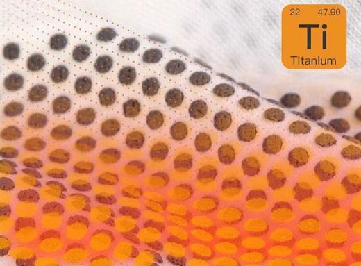 纯元！Z品单！出口德国FR发热护腰神器！ 商品图5