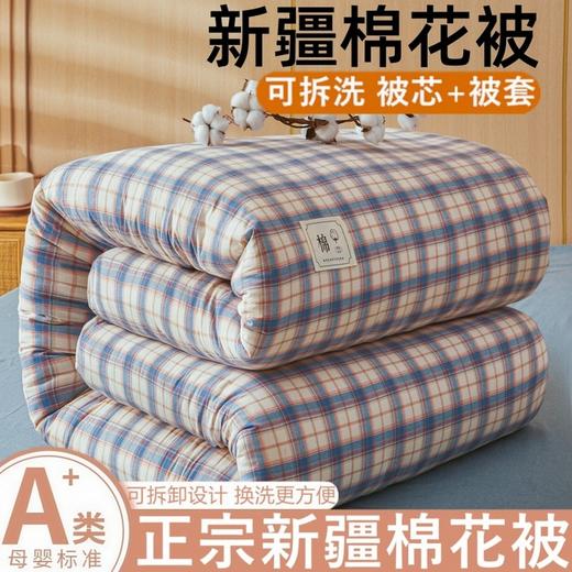 【可拆卸新疆全棉花被子】冬被厚春秋被单双人垫被褥子学生宿舍可机洗 商品图3